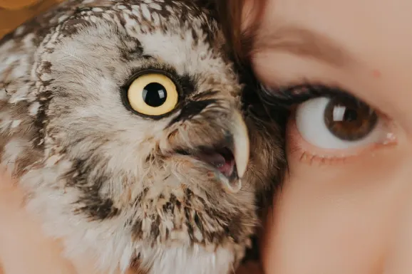 Kasino Lucky Tiger Tuki